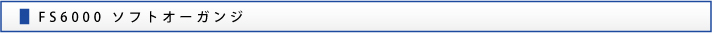 FS6000 ソフトオーガンジ